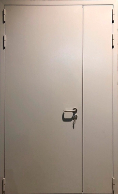 Полуторная глухая противопожарная дверь EI 90 02 (порошковое напыление)