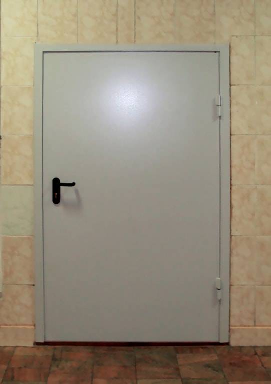 Нестандартная противопожарная дверь