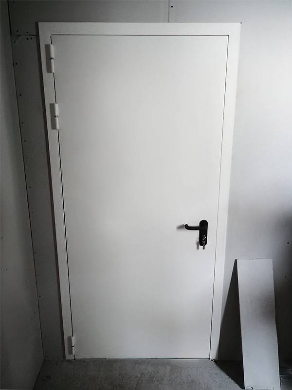 Однопольная дверь в помещении (г. Ногинск)